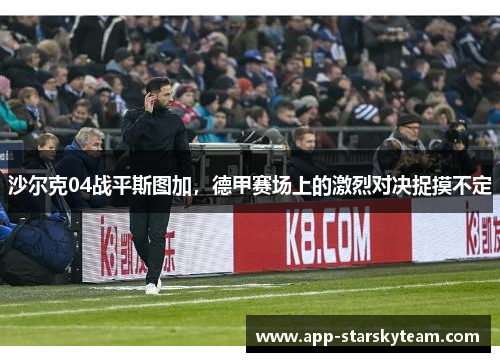 沙尔克04战平斯图加，德甲赛场上的激烈对决捉摸不定